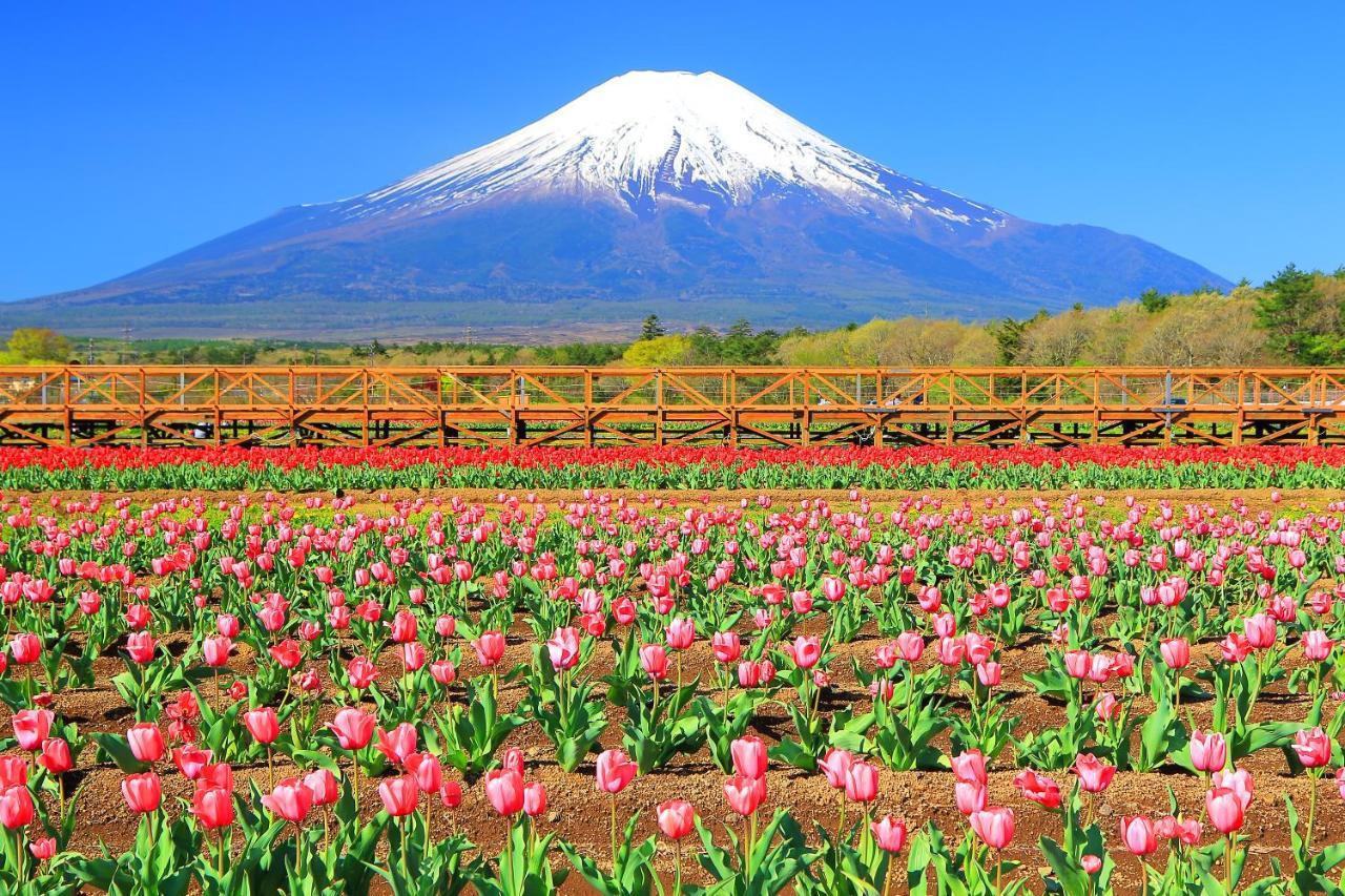 Hatago Ichiya Yamanakako Exteriér fotografie